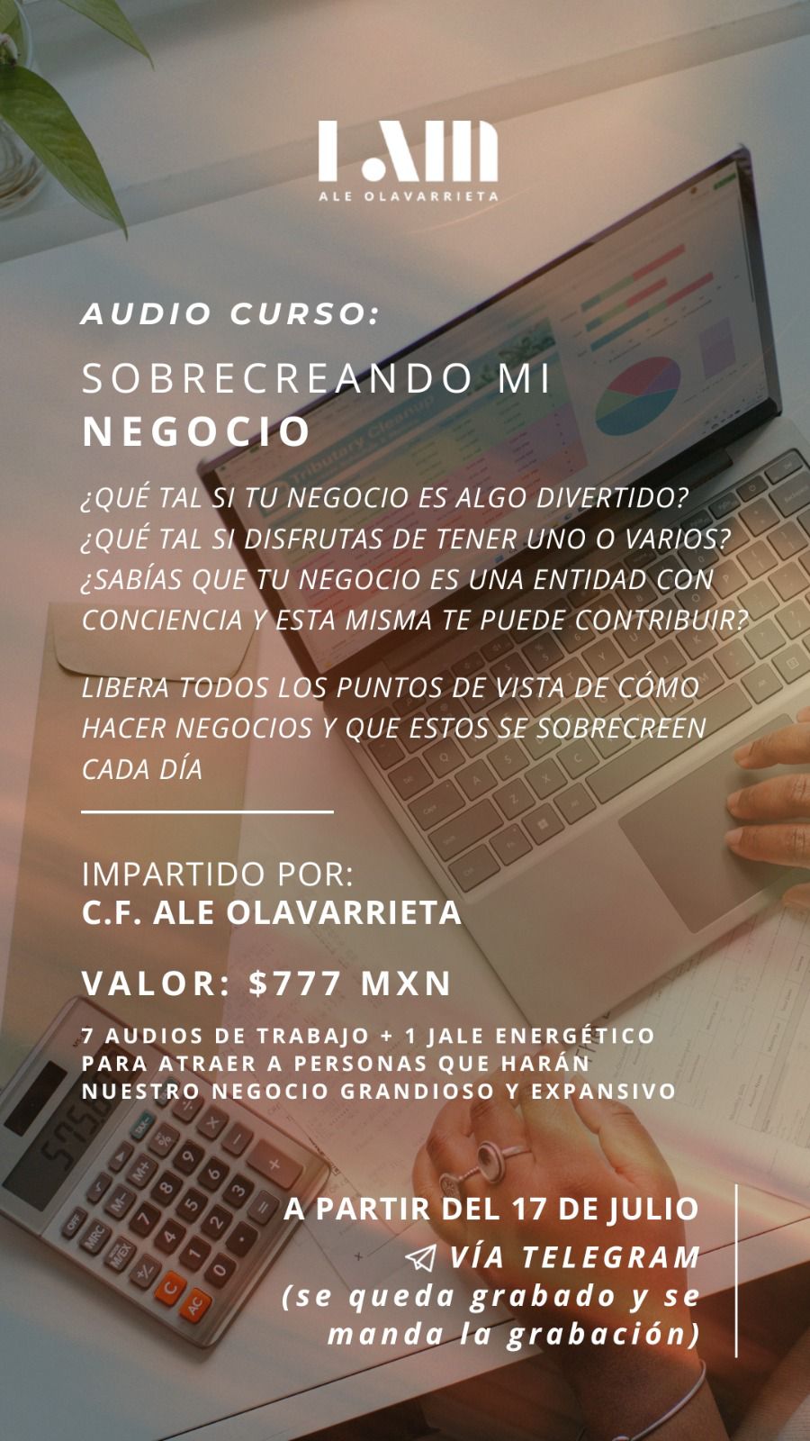 Audio curso: Sobrecreando mi negocio