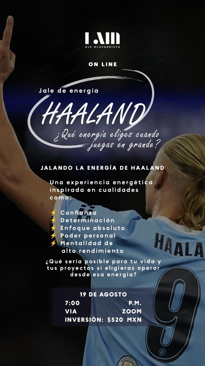 Jale de energía HAALAND