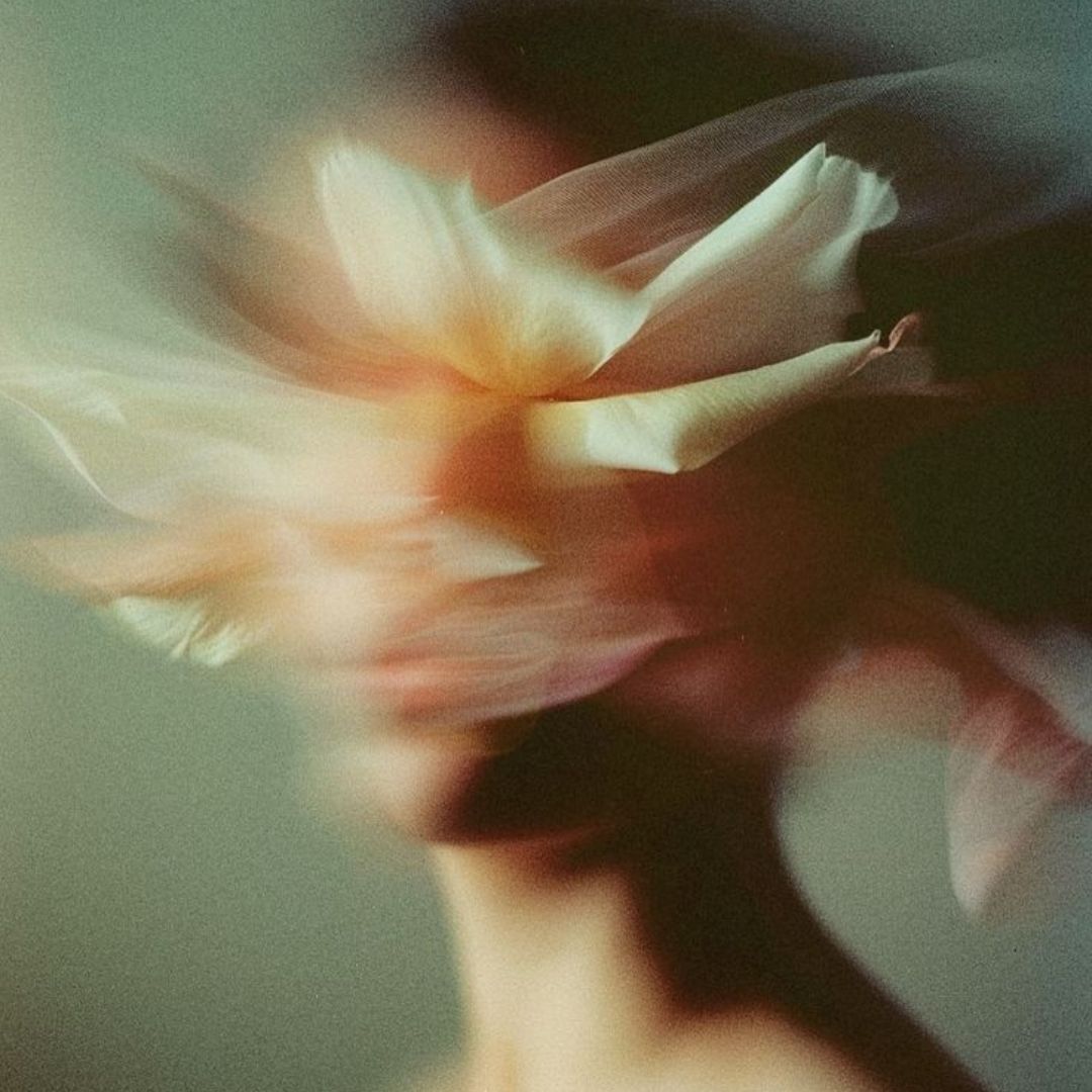 Proceso de cuerpo: disonancia cognitiva 19 de febrero MTY