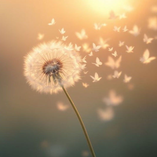 Barras (16 de Febrero) Monterrey